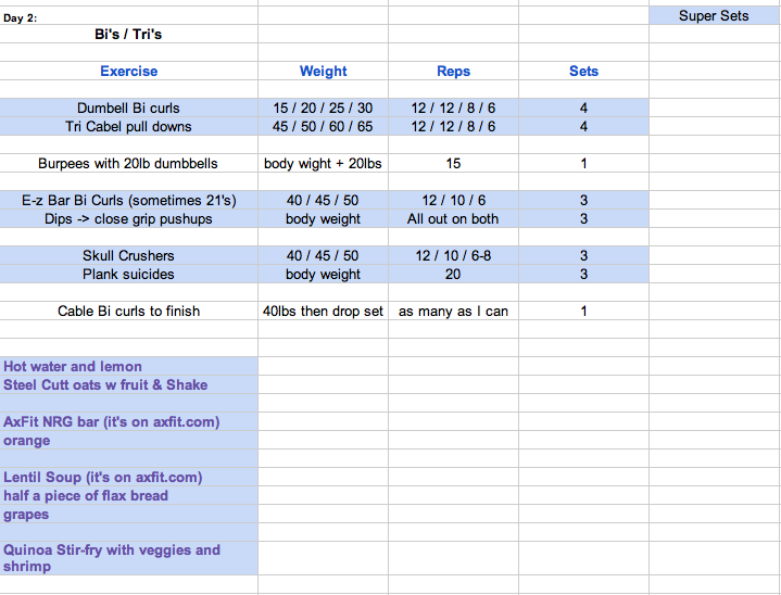 Let's Get Shredded Day 2 - Bi and Tri Workout